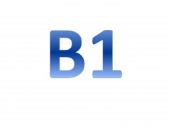 b1.jpg
